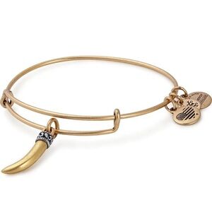 Alex and Ani Vitality Horn Charm expandable bracelet Italian Horn -Silver / Gold